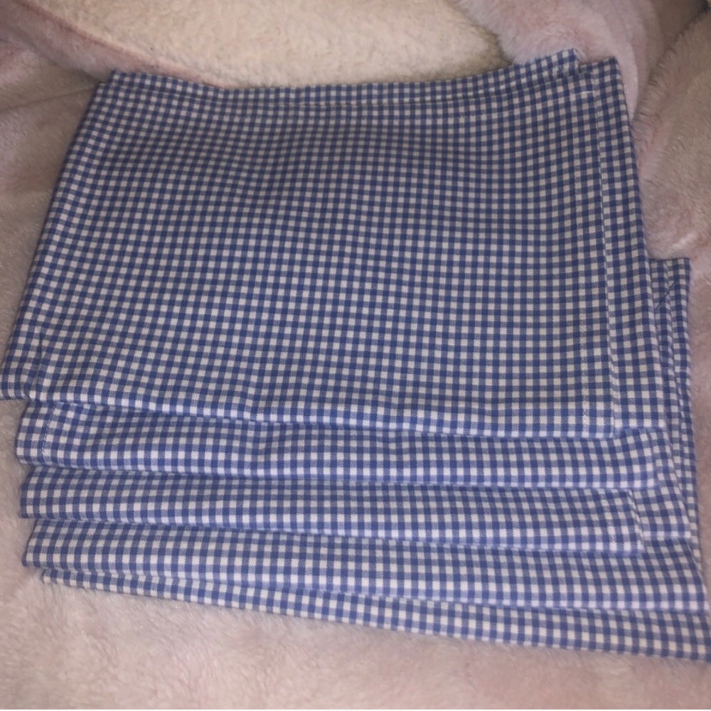 2 piece pottery barn kids blue valance